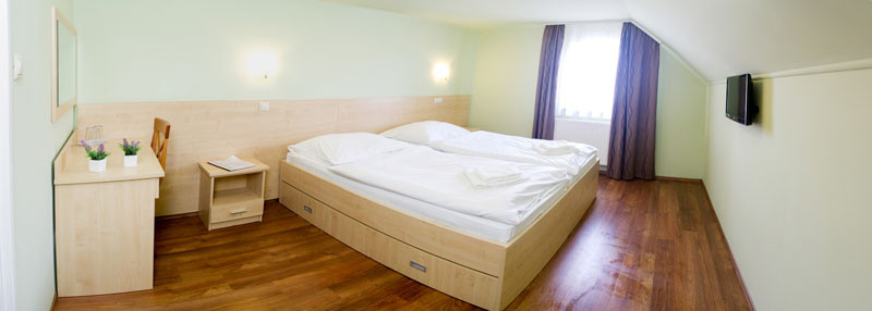 Room in Hotel Nimród
